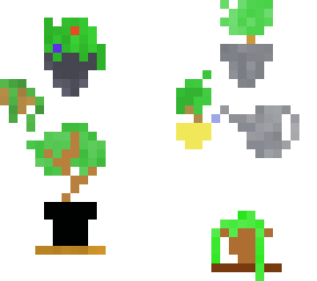 house plants