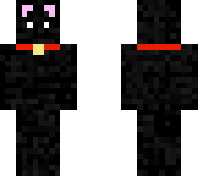 kitty cat