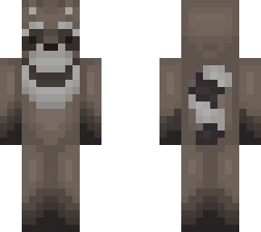 racoon