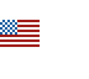 usa flag