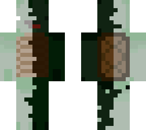 dark/light turtle