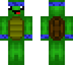 turtlle le dud