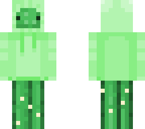 cactus in a hoodie (credits to soggycaci)