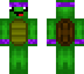 turtle