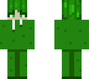 cactus dude