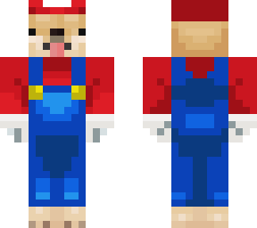 mario doge