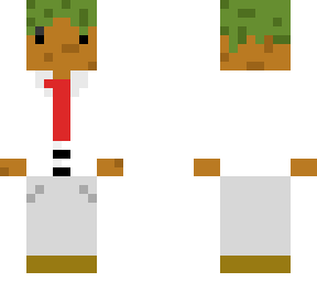 mr. minecraft