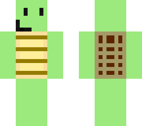 turtle boi