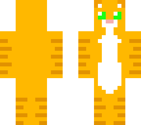 cat skin