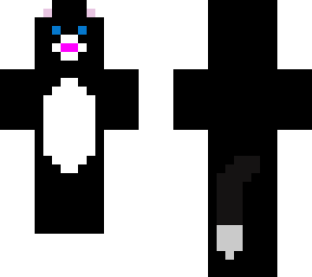 kitten with socks on