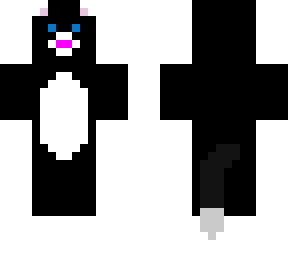 kitten with socks on