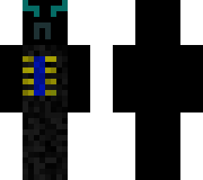 the warden