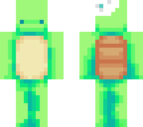 turtle with shell hat