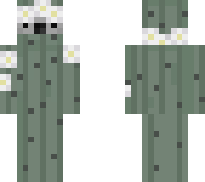 cactus koala