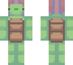 the fast turtle