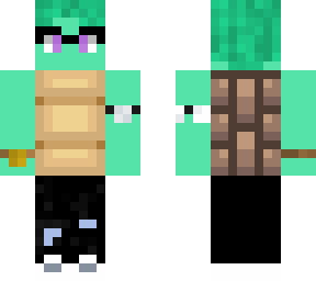 turtle form