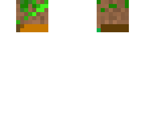 dirt
