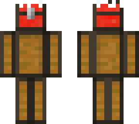 snow chest