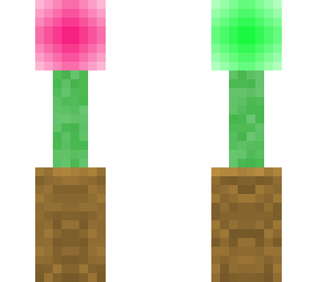 exotic plant