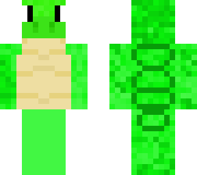 sea turtle