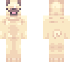 pug