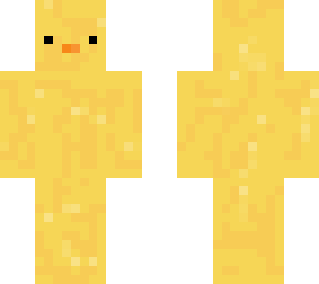 a duck