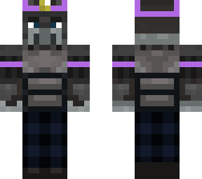 illager task force member (#b069e2)