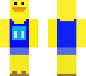 summer duck