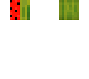 melon with slice missing