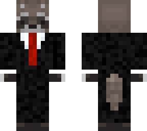 mr. racoon