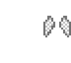 wings (medium)
