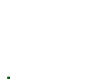 1 pixel