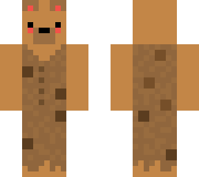 barry the homeless bear