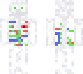 skeleton (organs & veins inside)