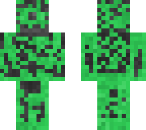 ruin protecter