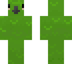 parrot skin
