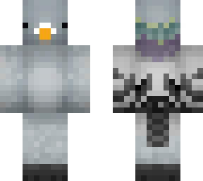 pigeon