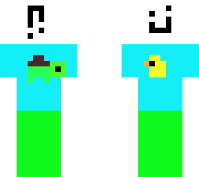 turtle-duck shirt with 2 faces