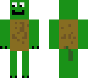 turtle dude