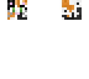 calico_cat_skull
