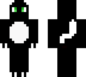 black and white cat
