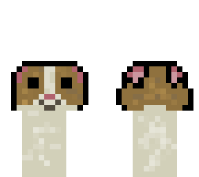 happy cat with ears back (meme)
