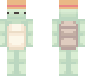 turtle with hat