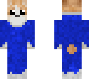 corgi in robe