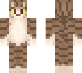 tabby cat  (4px)