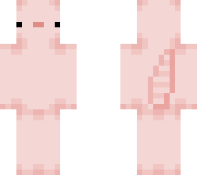 axolotl template (slim)