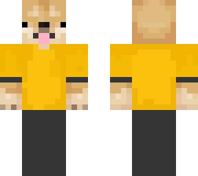 [dsrl] test subject
