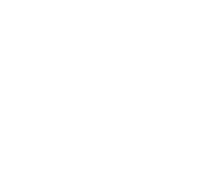 bob 2.1