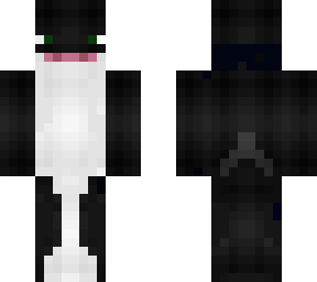 g tv killer whale