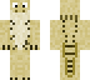 bearded dragon